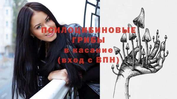 прущая мука Шали