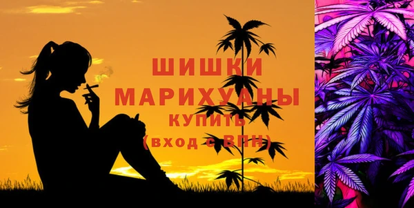 прущая мука Шали