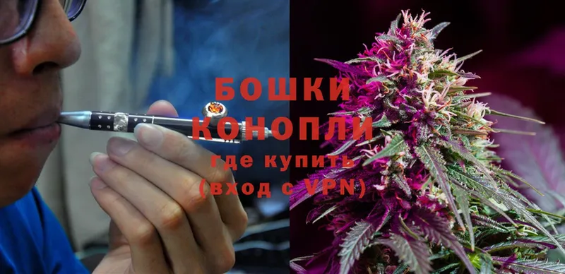 купить наркотик  мега рабочий сайт  МАРИХУАНА White Widow  Гаврилов Посад 